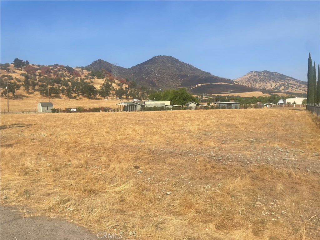 6009 Elwood Road Sanger, CA 93657 - Photo 27 of 43