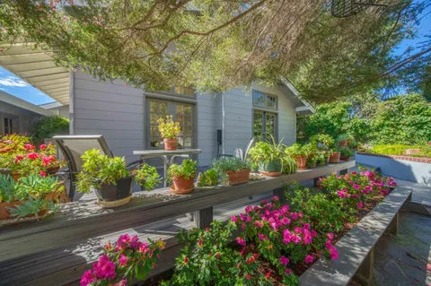 a view of a bunch of flowers in a garden