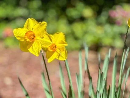 $2,998,000 | 17981 Rose Court, Monte Sereno, CA 95030