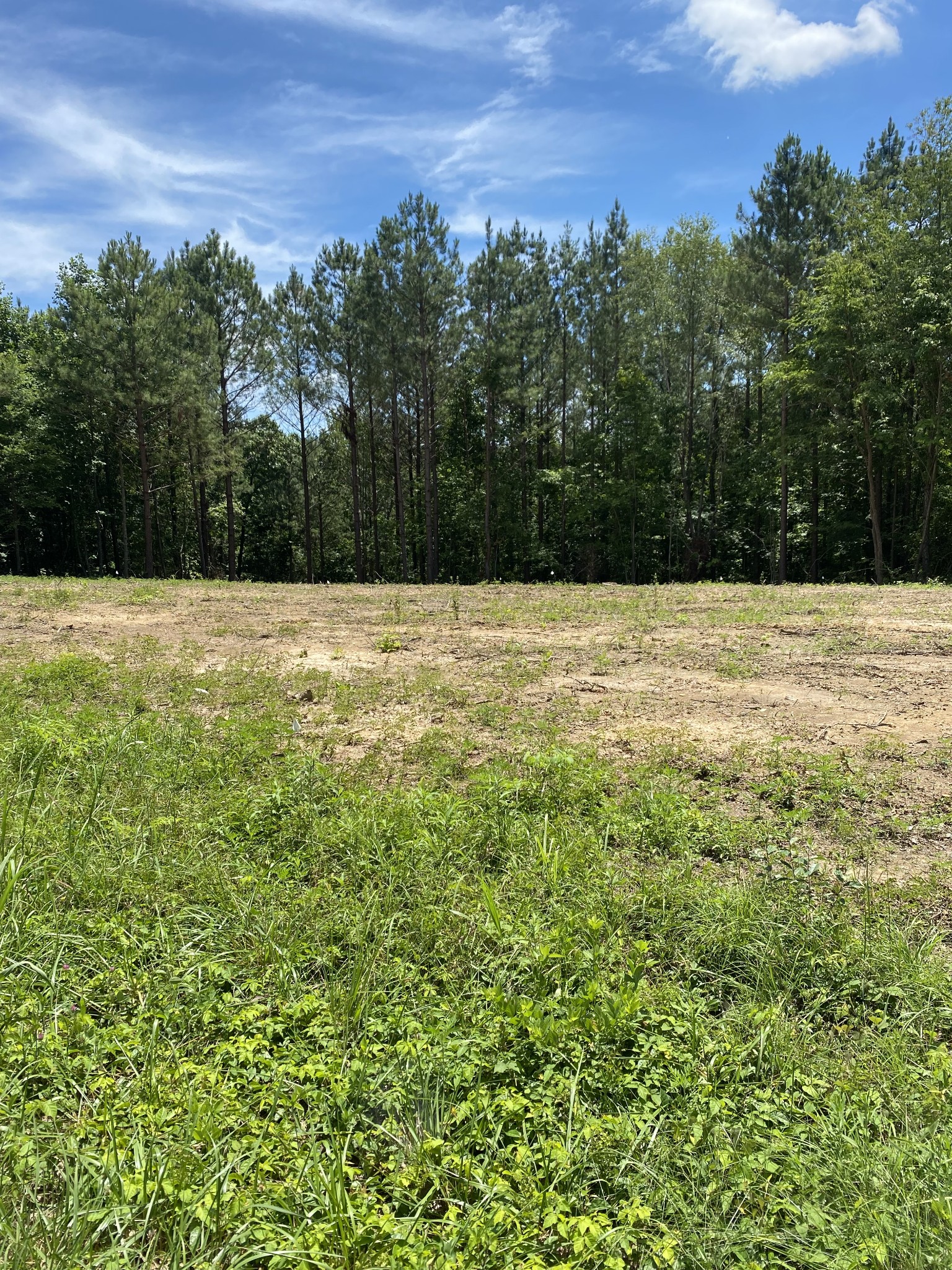 367 Howard Switch Road Hohenwald, TN 38462 - Photo 1 of 8 Gallery Image 1