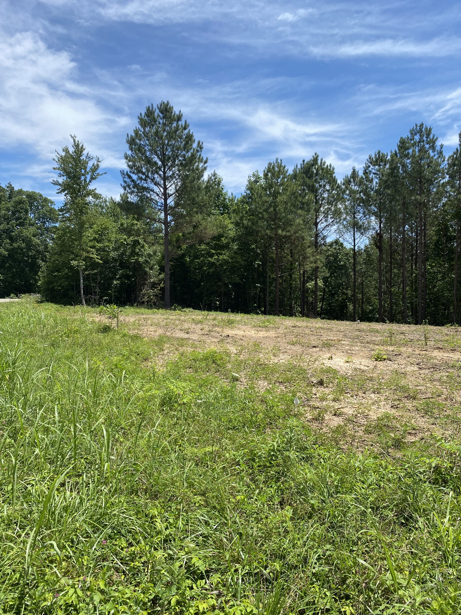 367 Howard Switch Road Hohenwald, TN 38462 - Photo 2 of 8 Gallery Image 2