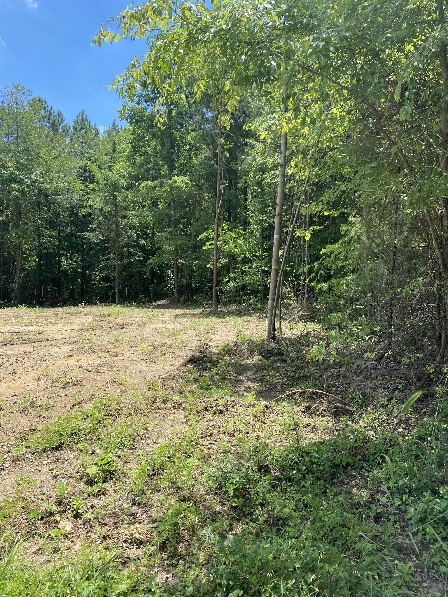 367 Howard Switch Road Hohenwald, TN 38462 - Photo 3 of 8 Gallery Image 3