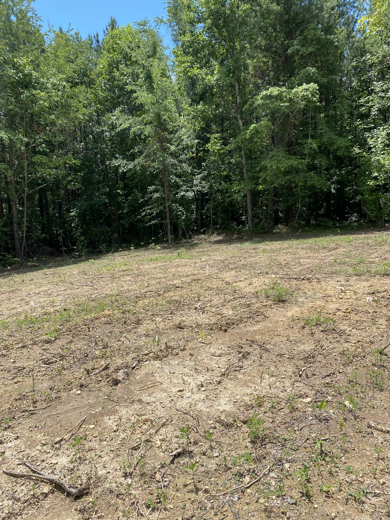 367 Howard Switch Road Hohenwald, TN 38462 - Photo 4 of 8 Gallery Image 4