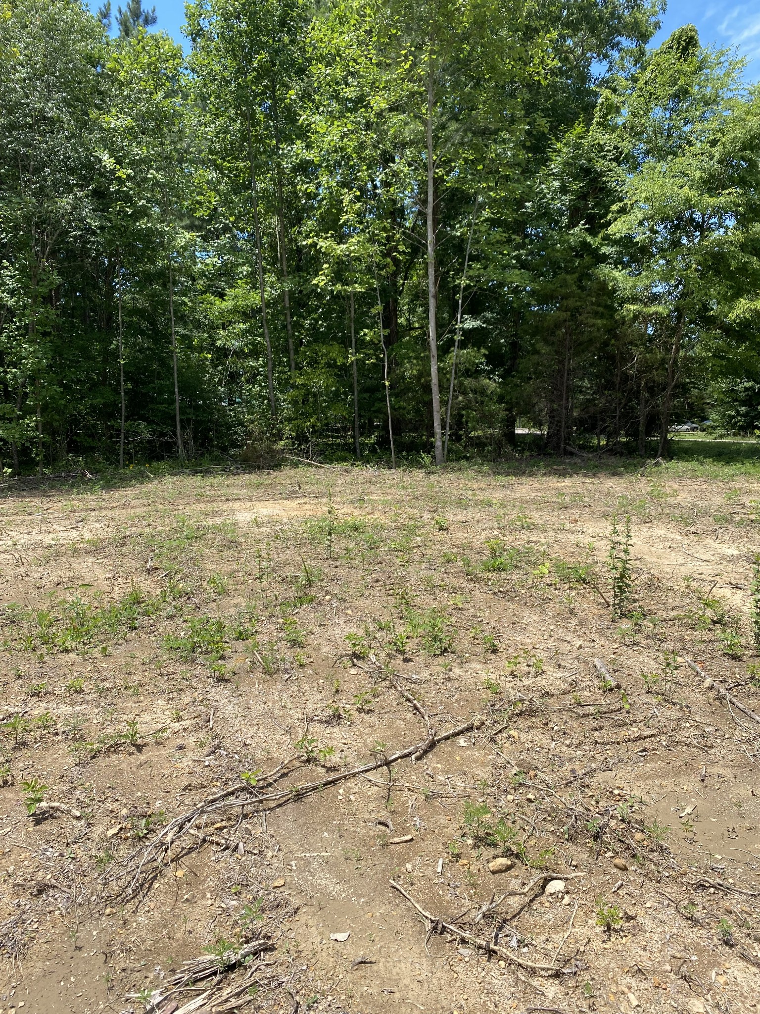 367 Howard Switch Road Hohenwald, TN 38462 - Photo 5 of 8 Gallery Image 5