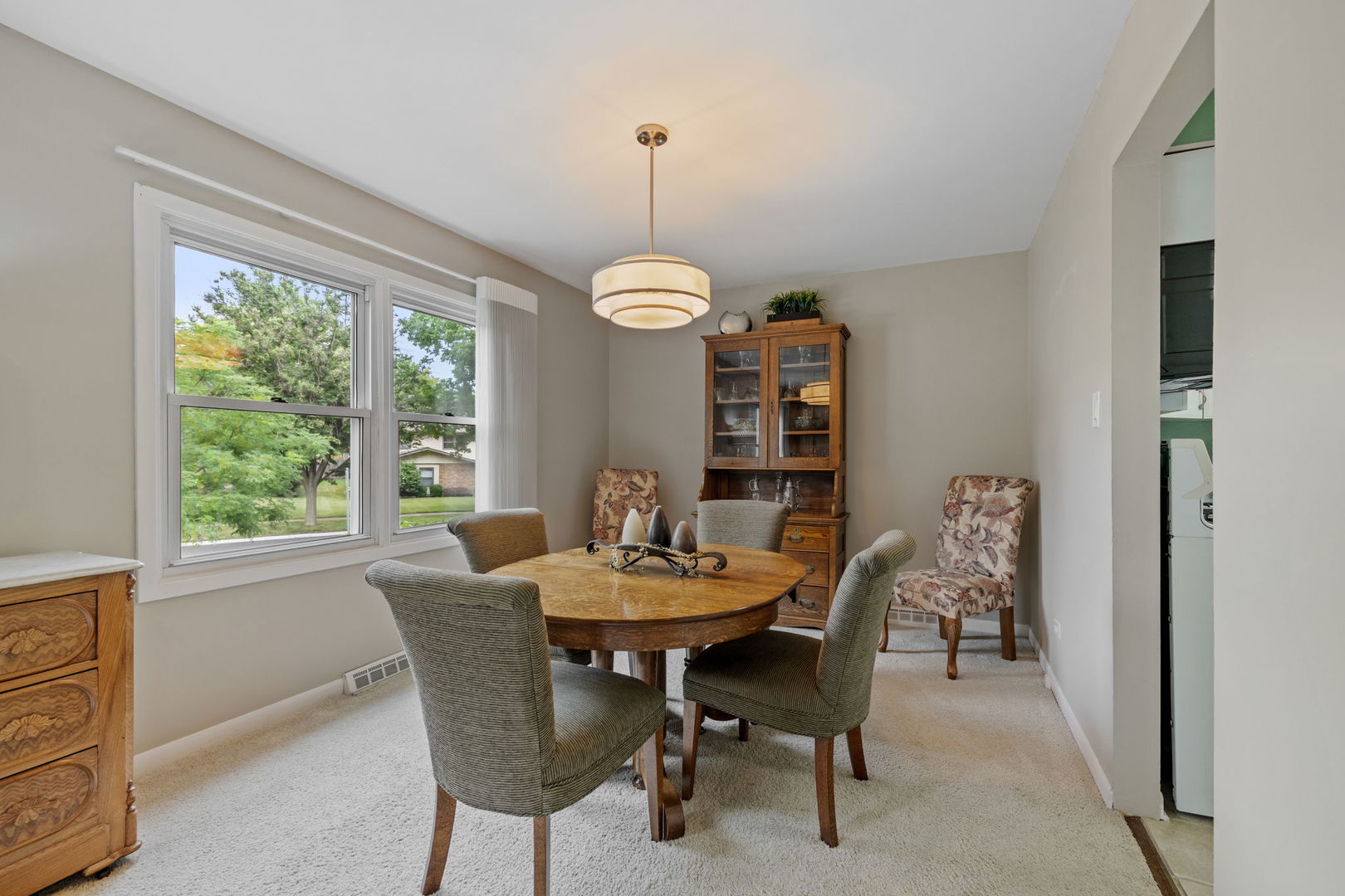 6651 Dunham Road Downers Grove, IL 60516 - Photo 5 of 28