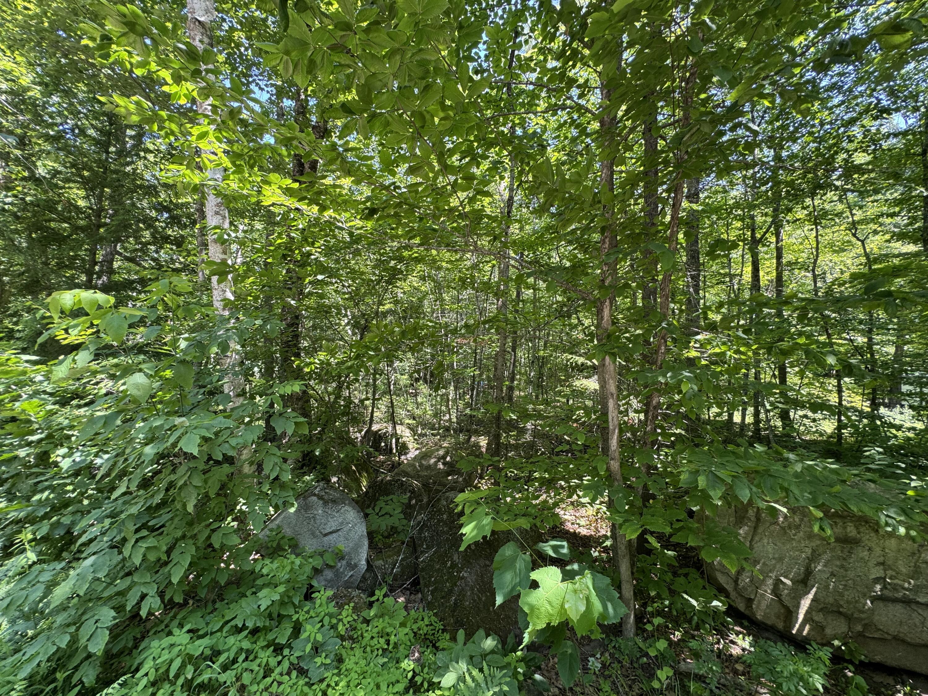 Lot 19 Thomas Pond Shore Road Casco, ME 04015 - Photo 6 of 9
