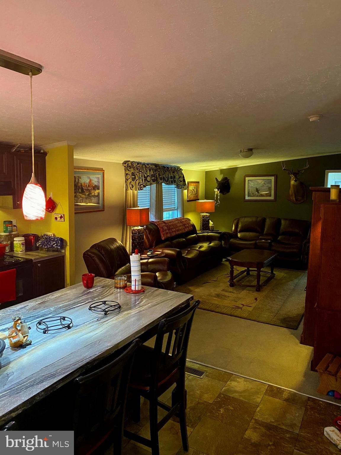 8224 Logging Road Rhoadesville, VA 22542 - Photo 7 of 25 Gallery Image 7