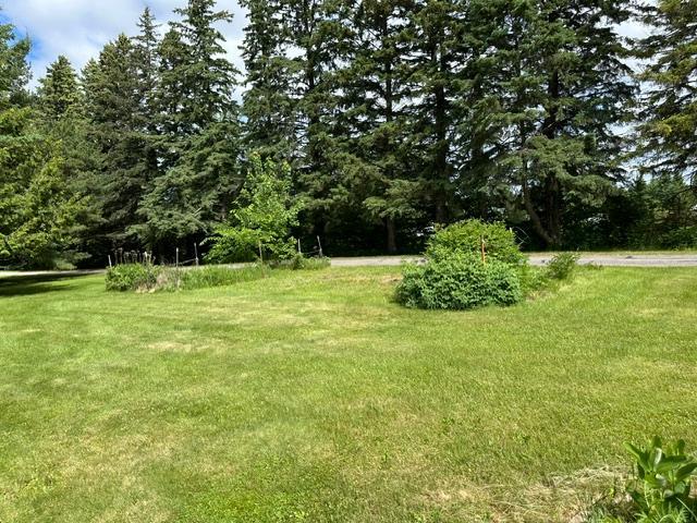21888 Shallow Lake Road Warba, MN 55793 - Photo 39 of 44