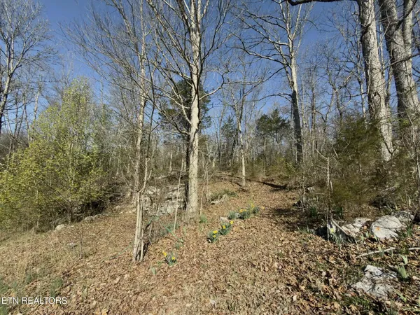 $193,900 | 205 Knight Hollow Lane, Mosheim, TN 37818
