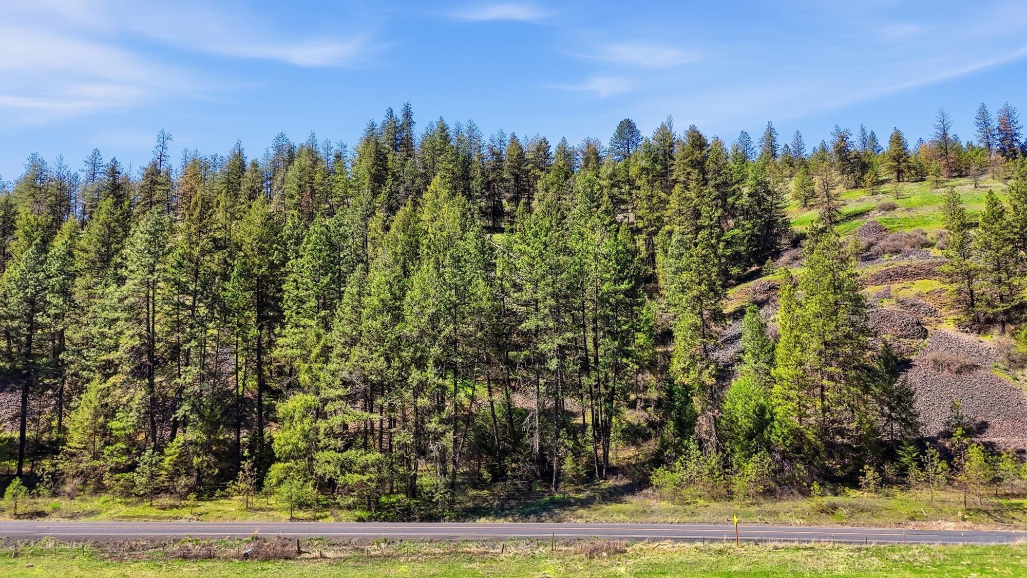 Nka- Hawk Creek Ranch Road North Davenport, WA 99122 - Photo 22 of 23