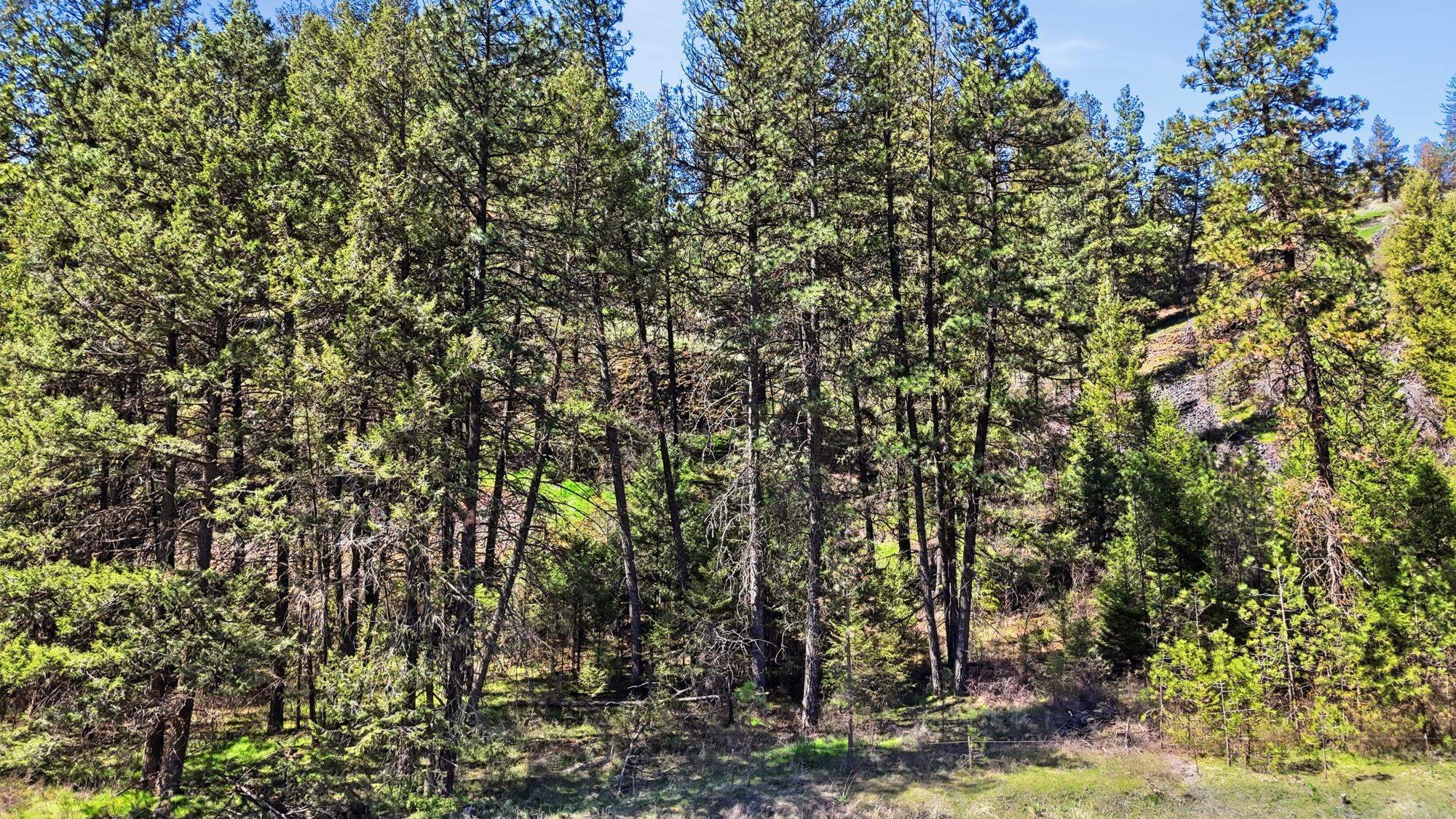 Nka- Hawk Creek Ranch Road North Davenport, WA 99122 - Photo 23 of 23