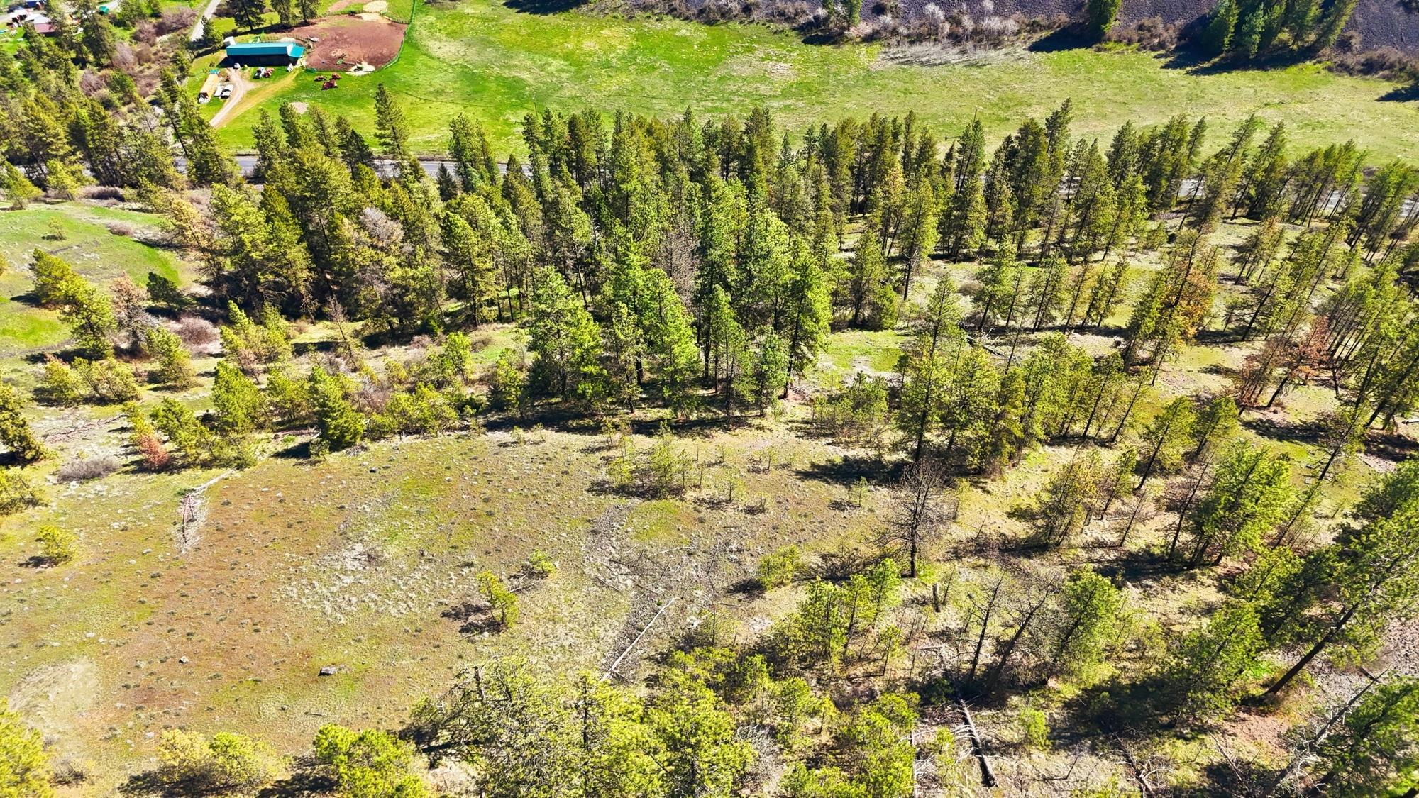 Nka- Hawk Creek Ranch Road North Davenport, WA 99122 - Photo 5 of 23