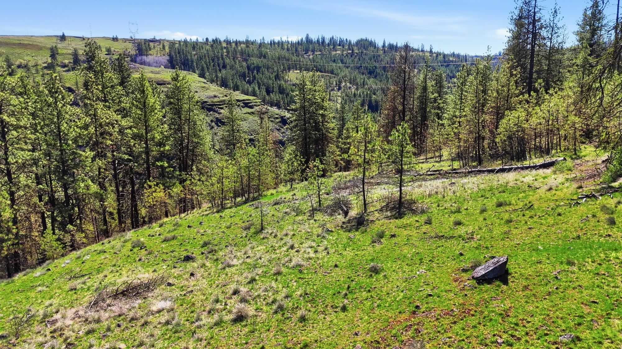 Nka- Hawk Creek Ranch Road North Davenport, WA 99122 - Photo 6 of 23