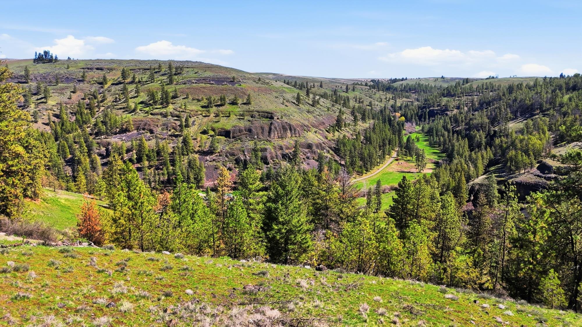 Nka- Hawk Creek Ranch Road North Davenport, WA 99122 - Photo 7 of 23