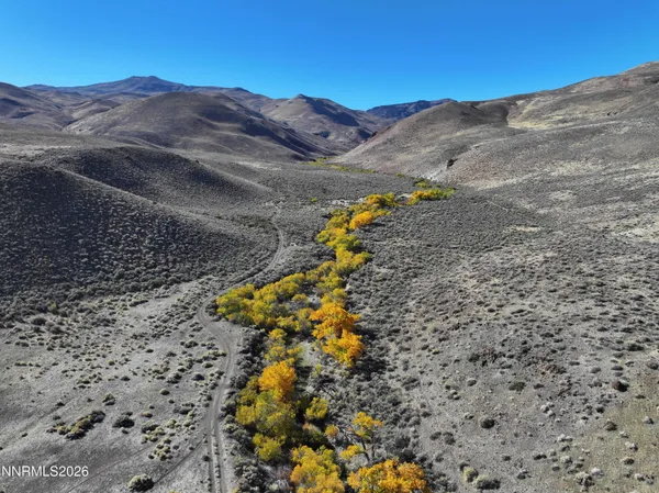 a view of a yard with mountains in the background