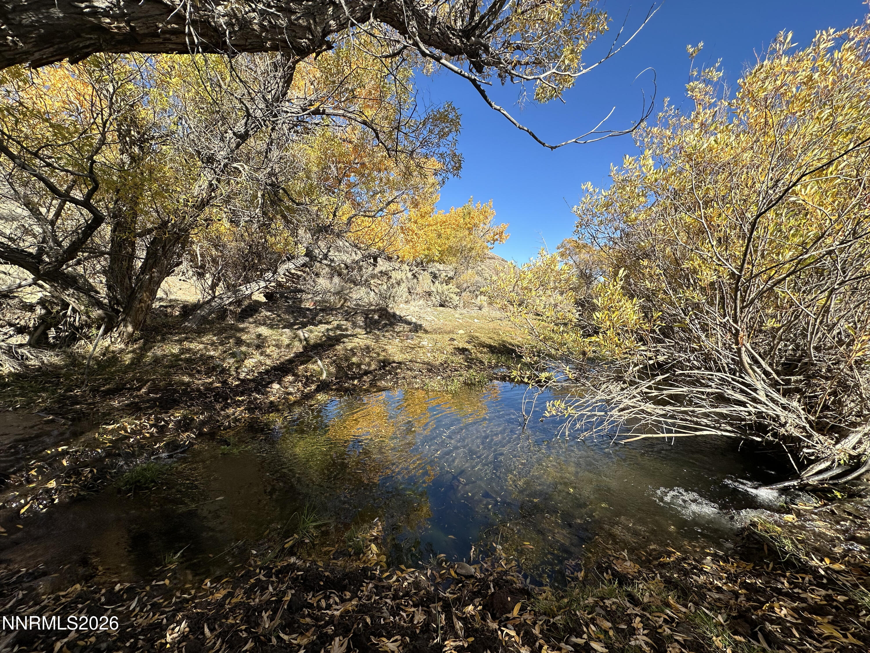 0 State Route 34 Gerlach, NV 89412 - Photo 2 of 31 IMG_5010 copy