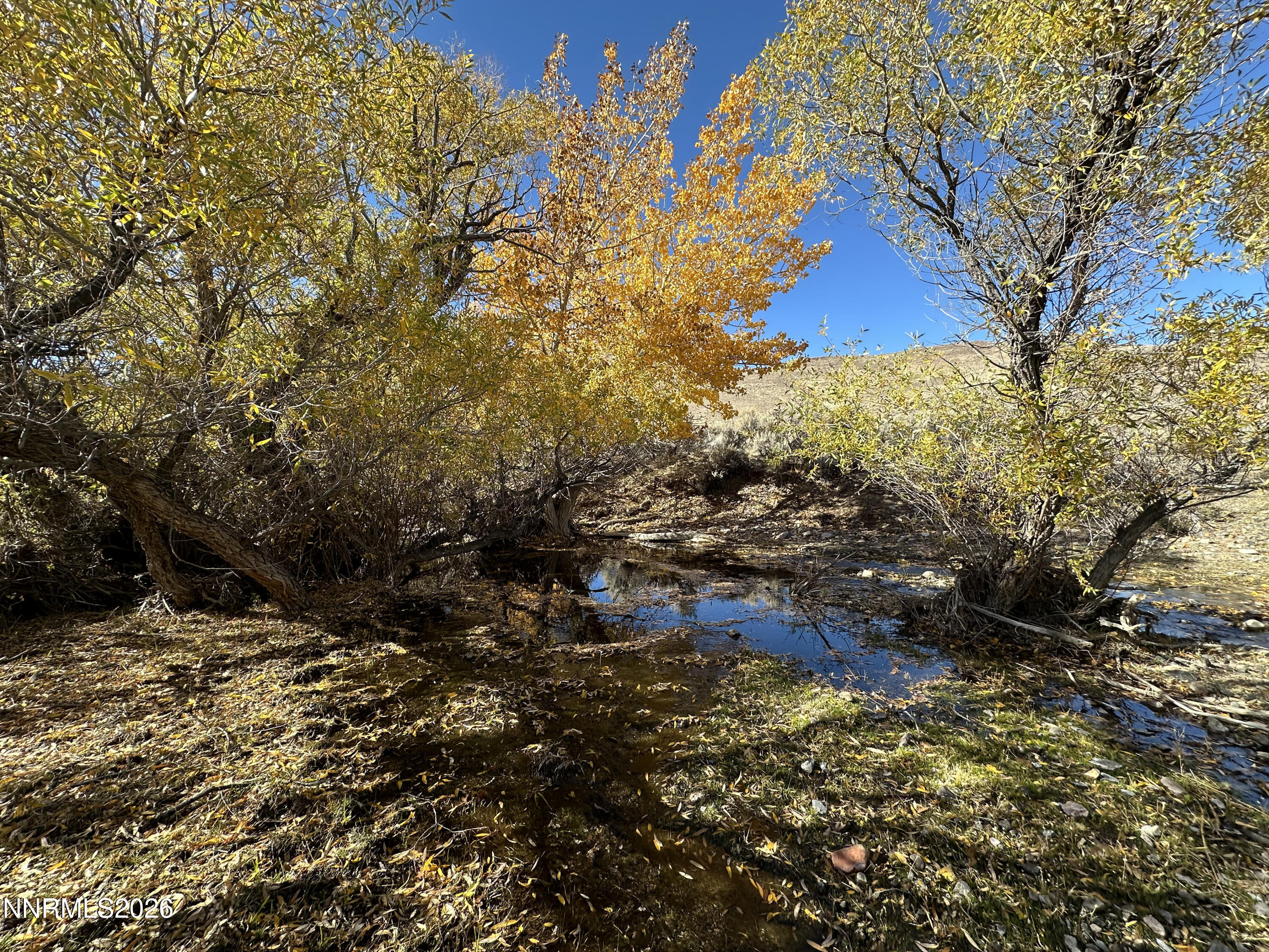 0 State Route 34 Gerlach, NV 89412 - Photo 21 of 31 IMG_5005 copy