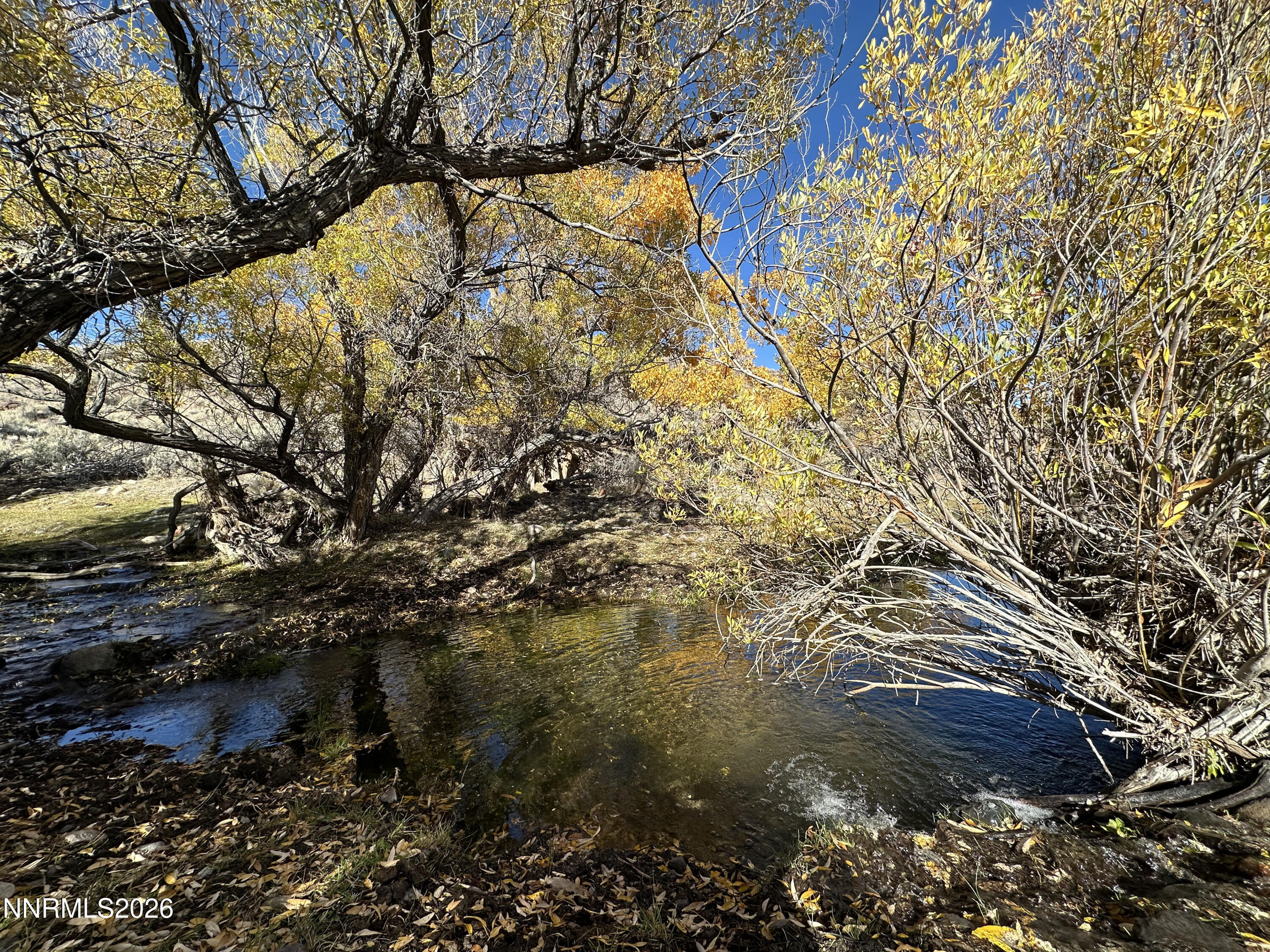 0 State Route 34 Gerlach, NV 89412 - Photo 24 of 31 IMG_5012 copy