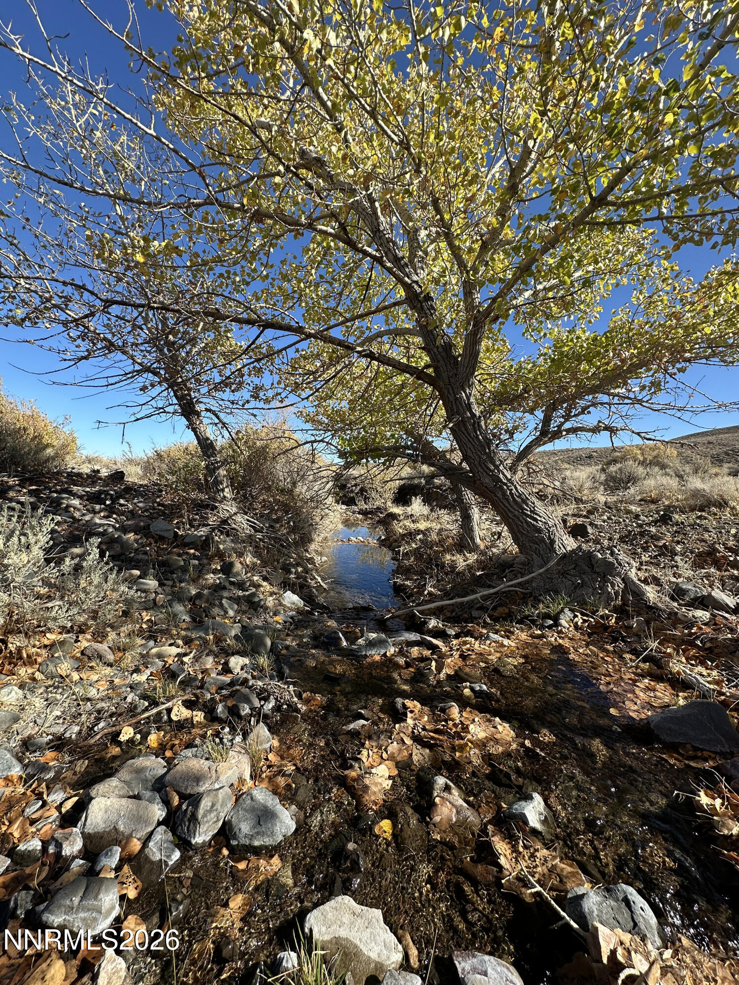 0 State Route 34 Gerlach, NV 89412 - Photo 25 of 31 IMG_5016 copy