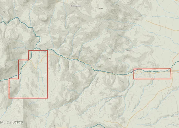 a view of a tree in a field