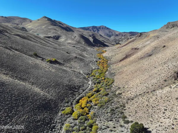a view of a dry yard with mountains in the background