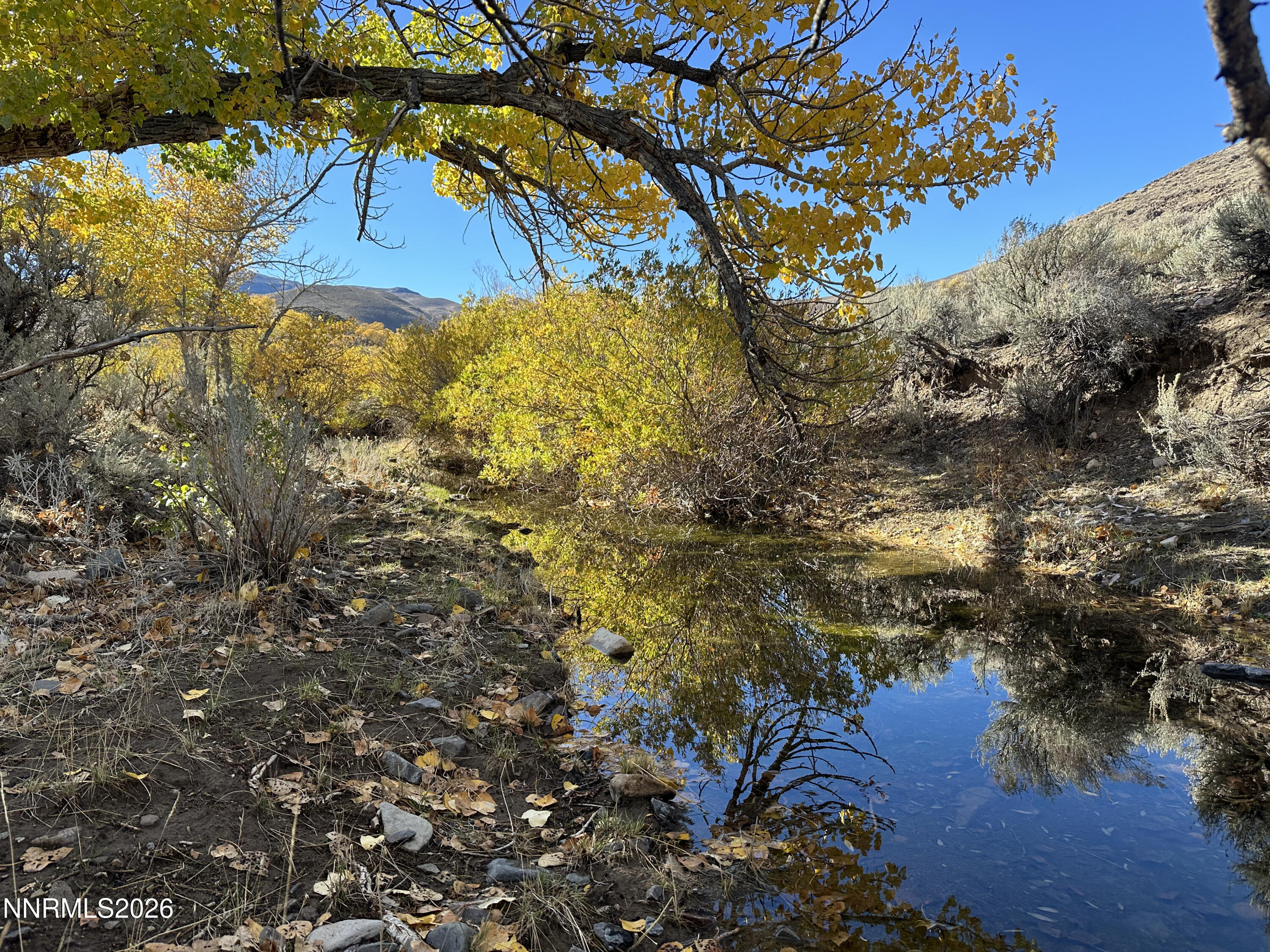 0 State Route 34 Gerlach, NV 89412 - Photo 5 of 31 IMG_5014 copy