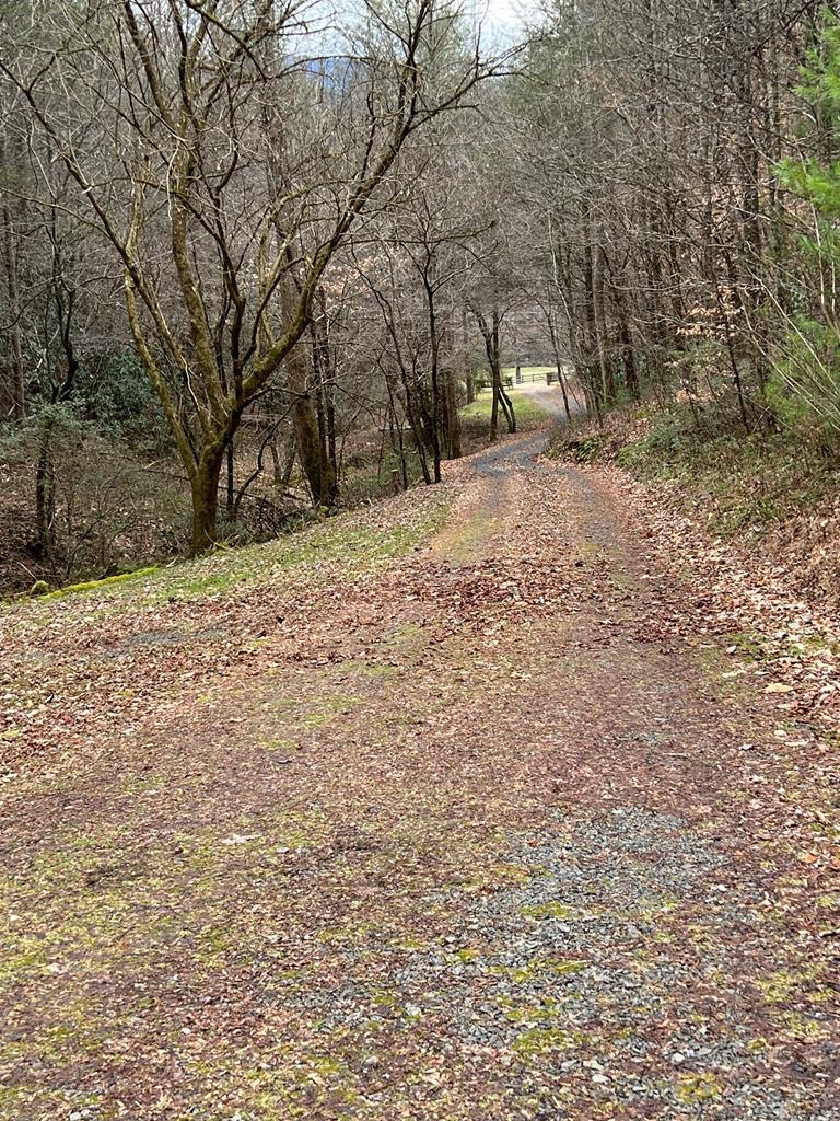 528 Caney Creek Road Cosby, TN 37722 - Photo 2 of 30 Gallery Image 2