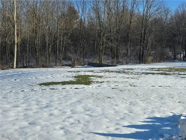 $175,900 | 2818 Drable Road, Savannah, NY 13146
