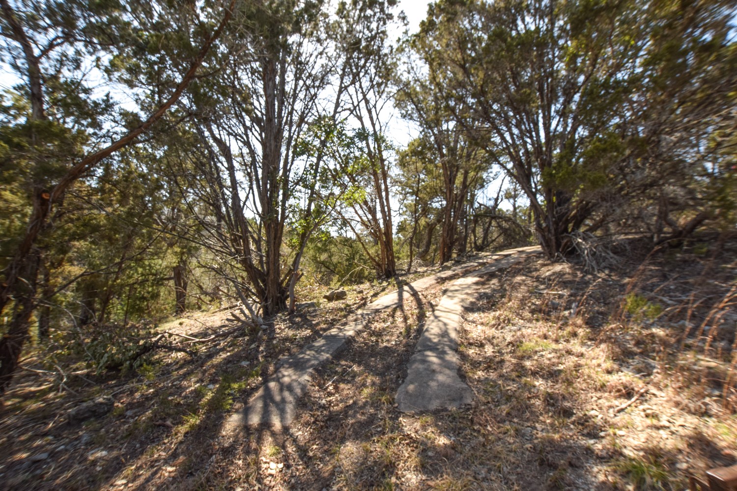 370 B Kothmann Road Dripping Springs, TX 78620 - Photo 19 of 31 This is part of the partial cement jeep track walking trail going down towards the creeks.