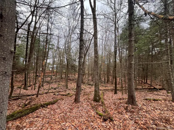 $629,000 | 79 Dexheimer Road, Narrowsburg, NY 12764