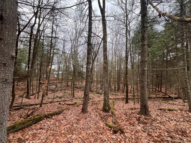 $629,000 | 79 Dexheimer Road, Narrowsburg, NY 12764