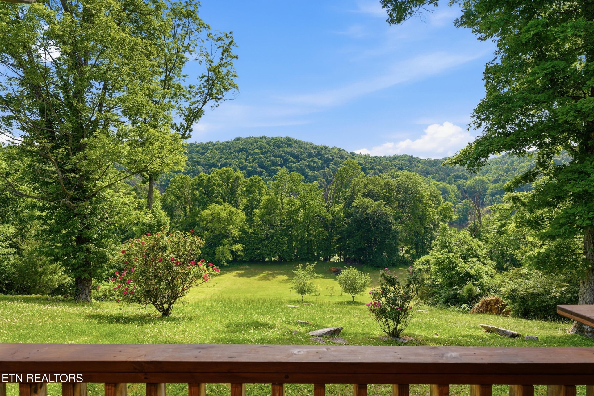 1982 Holston Shores Drive Rutledge, TN 37861 - Photo 50 of 60