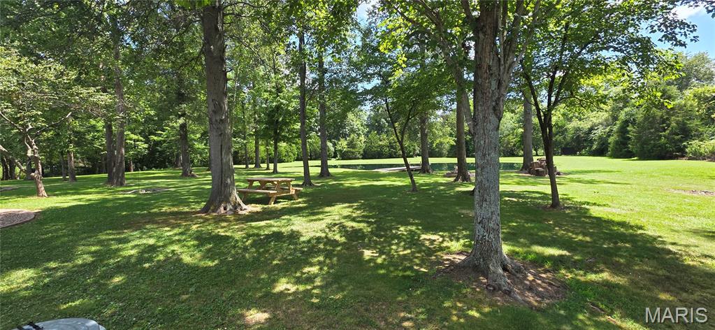 18371 Perry Road Pittsburg, IL 62974 - Photo 7 of 61