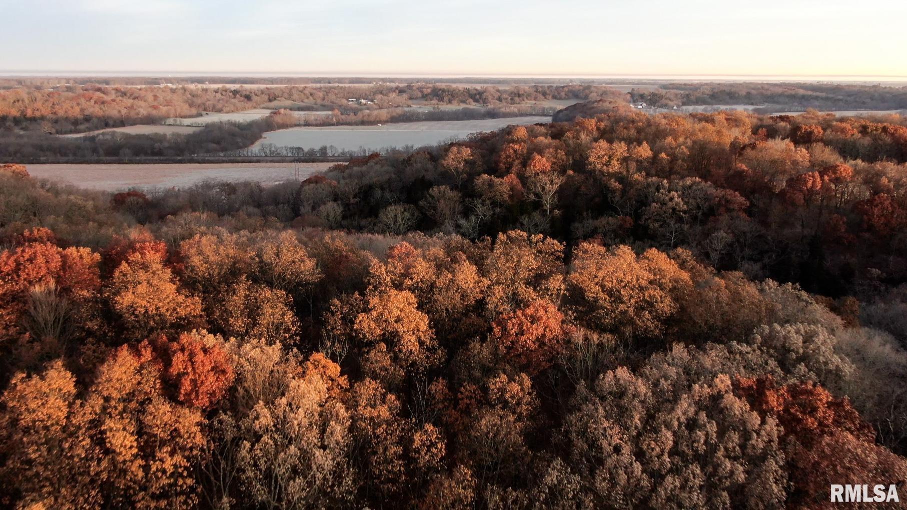 0 Pleasant View Road Washburn, IL 61570 - Photo 23 of 32 Gallery Image 23