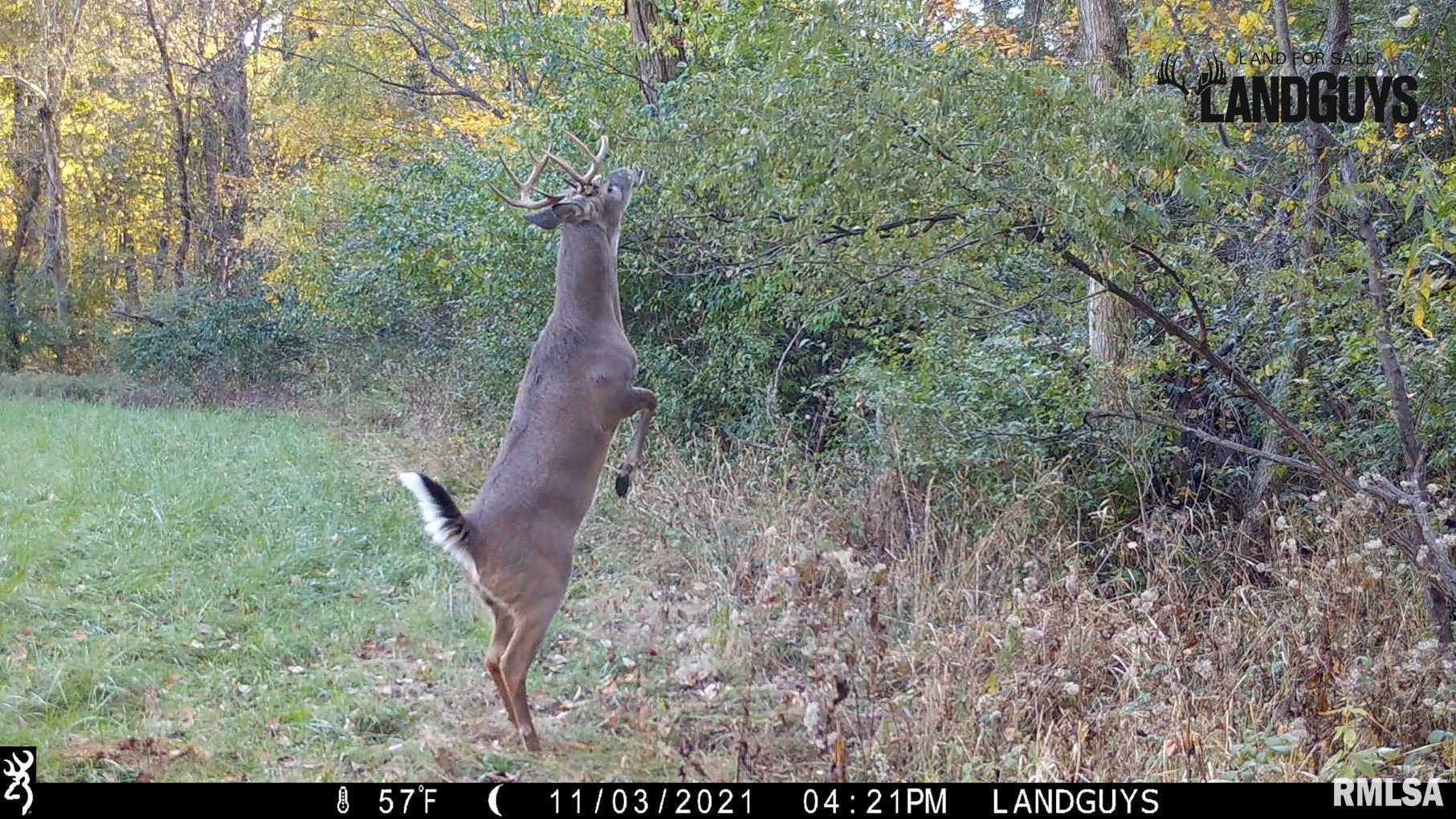0 Pleasant View Road Washburn, IL 61570 - Photo 29 of 32 Gallery Image 29