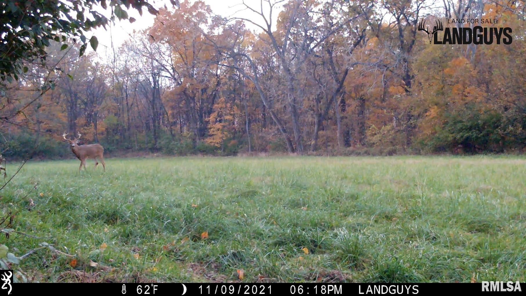 0 Pleasant View Road Washburn, IL 61570 - Photo 3 of 32 Gallery Image 3
