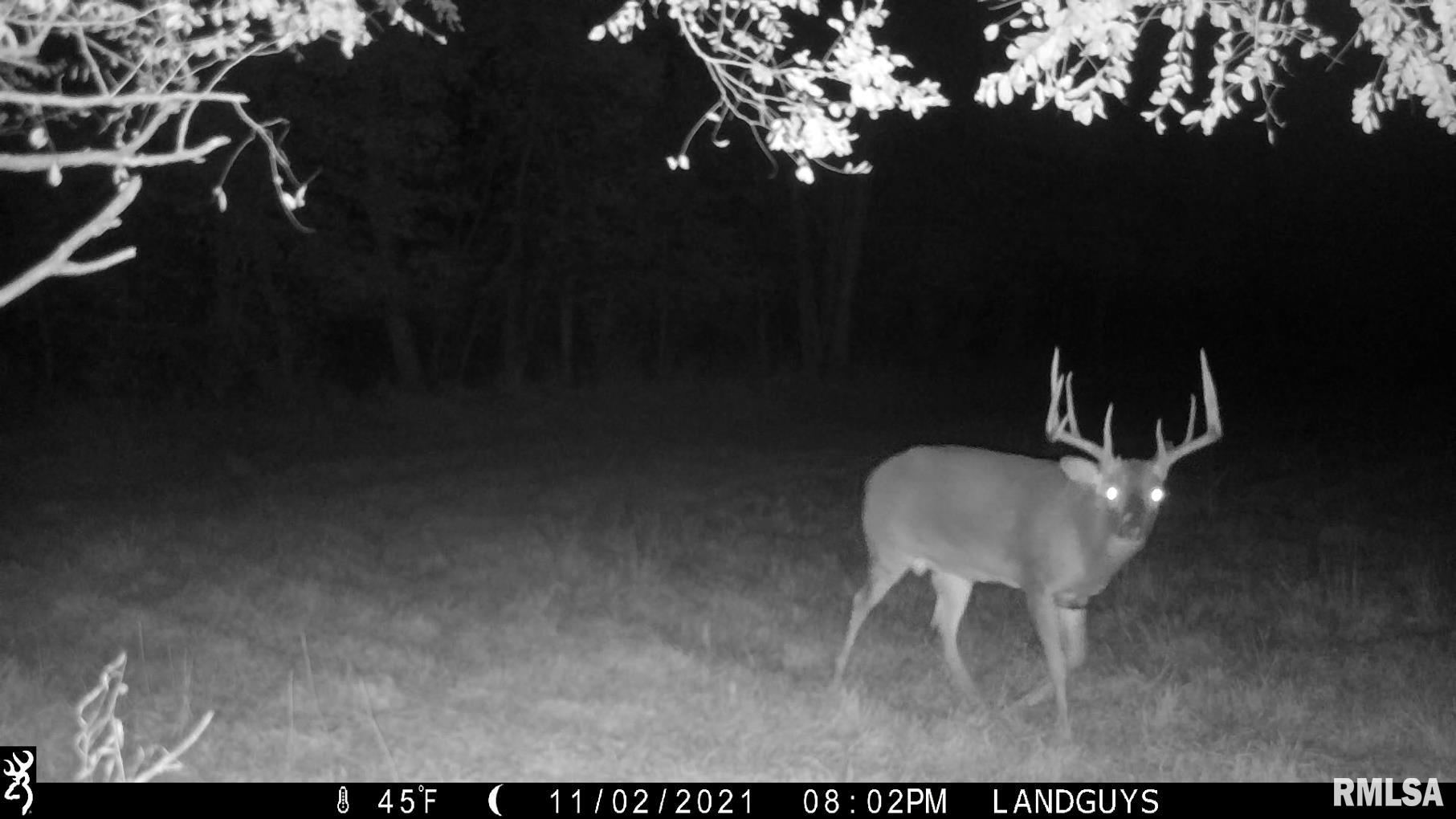 0 Pleasant View Road Washburn, IL 61570 - Photo 31 of 32 Gallery Image 31