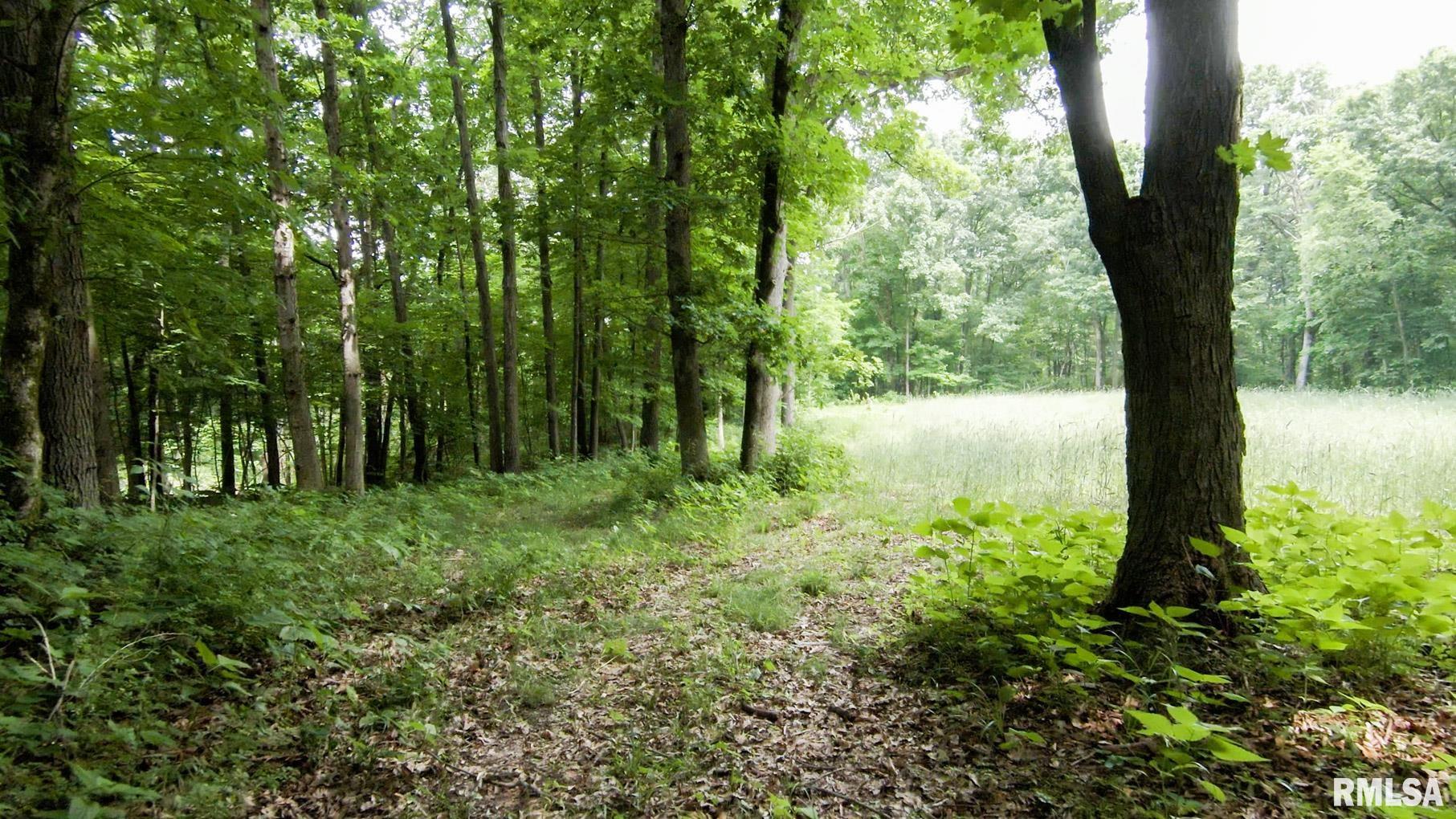 0 Pleasant View Road Washburn, IL 61570 - Photo 10 of 32 Gallery Image 10