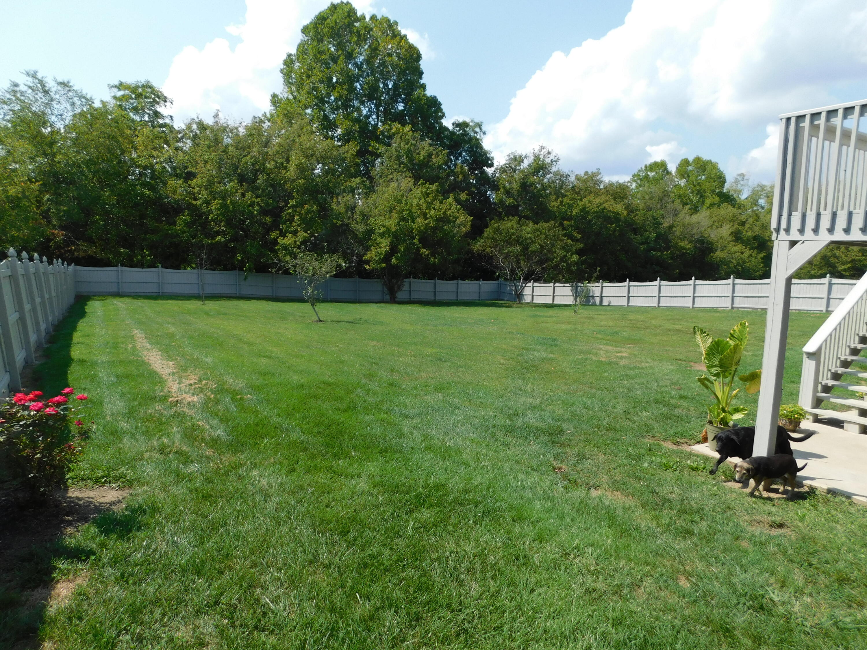 3449 Bailey Ranch Road Kingsport, TN 37660 - Photo 23 of 26 DSCN0306