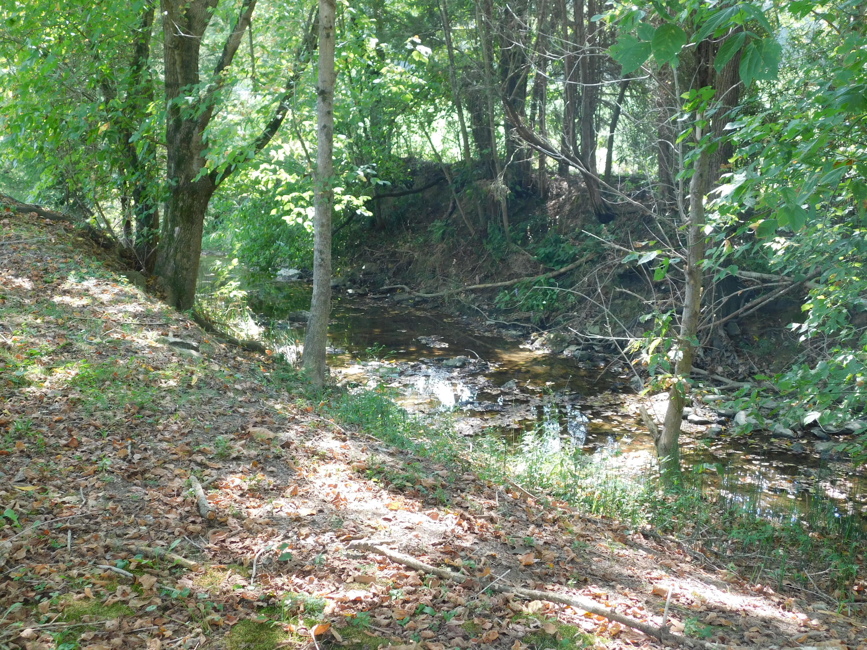 3449 Bailey Ranch Road Kingsport, TN 37660 - Photo 25 of 26 DSCN0318
