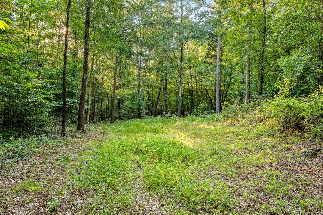0 Slater Road Anderson, SC 29621 - Photo 8 of 10