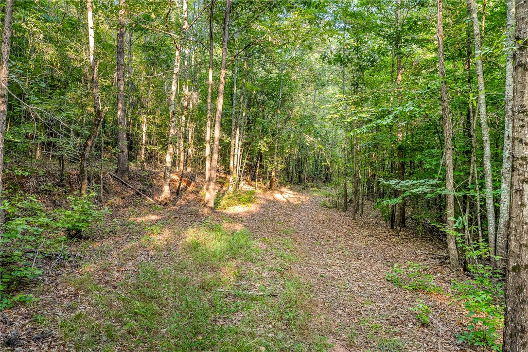 0 Slater Road Anderson, SC 29621 - Photo 9 of 10
