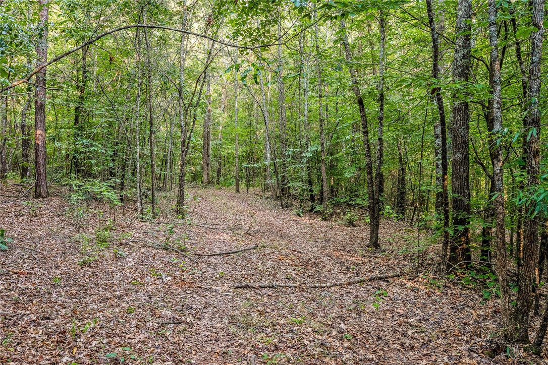 0 Slater Road Anderson, SC 29621 - Photo 10 of 10
