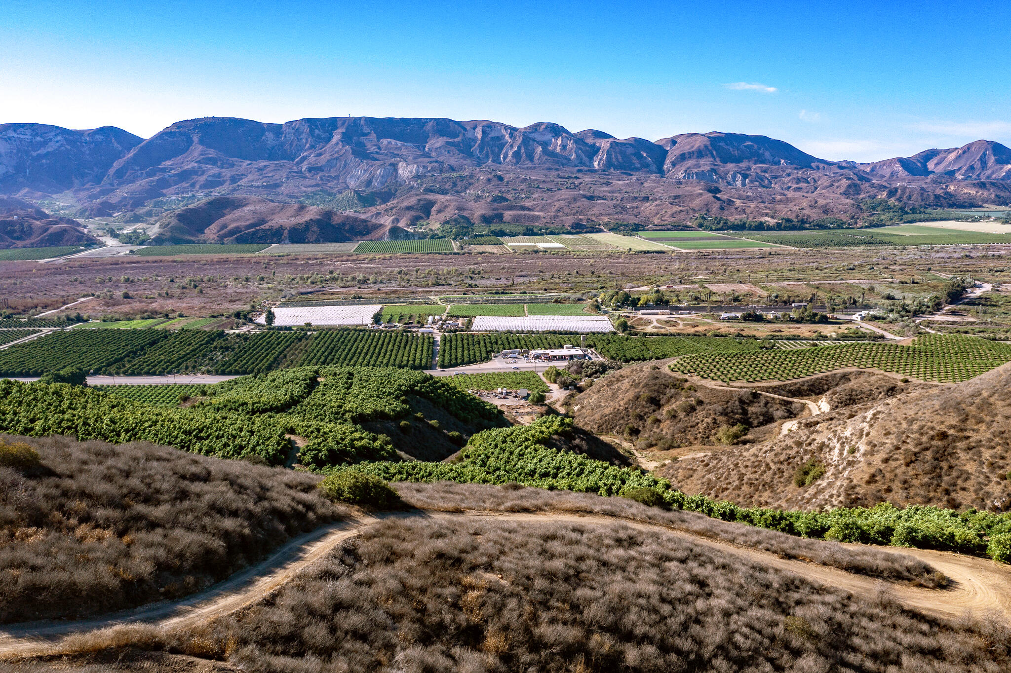 4 Oaks Ranch - Orchard and Valley Views