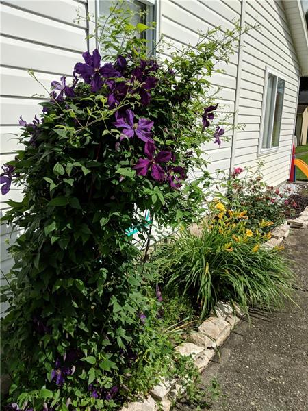 105 Highfield Road Butler, PA 16001 - Photo 22 of 25 Gallery Image 22