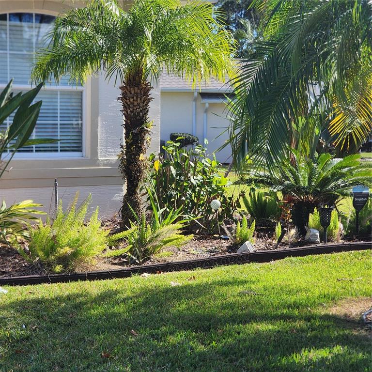 107 Raintree Circle Palm Coast, FL 32164 - Photo 21 of 46 a view of a backyard with plants and a large tree