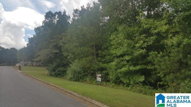 120 Hunter Ridge Lane Pell City, AL 35128 - Photo 21 of 21