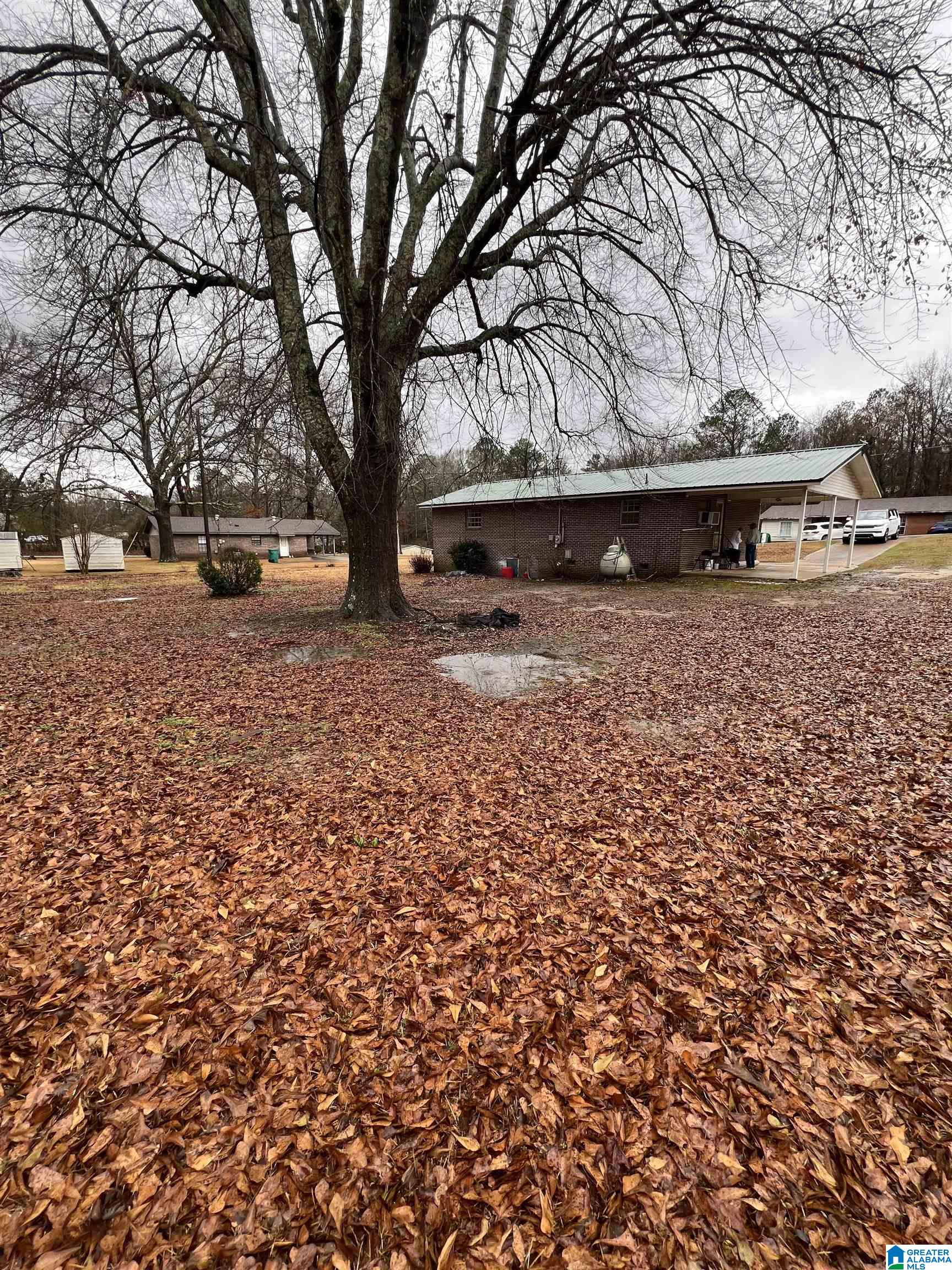 141 Finch Street Vernon, AL 35592 - Photo 17 of 18