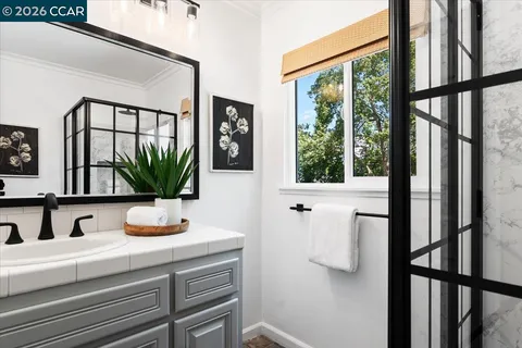 a view of bathroom with a potted plant on a window