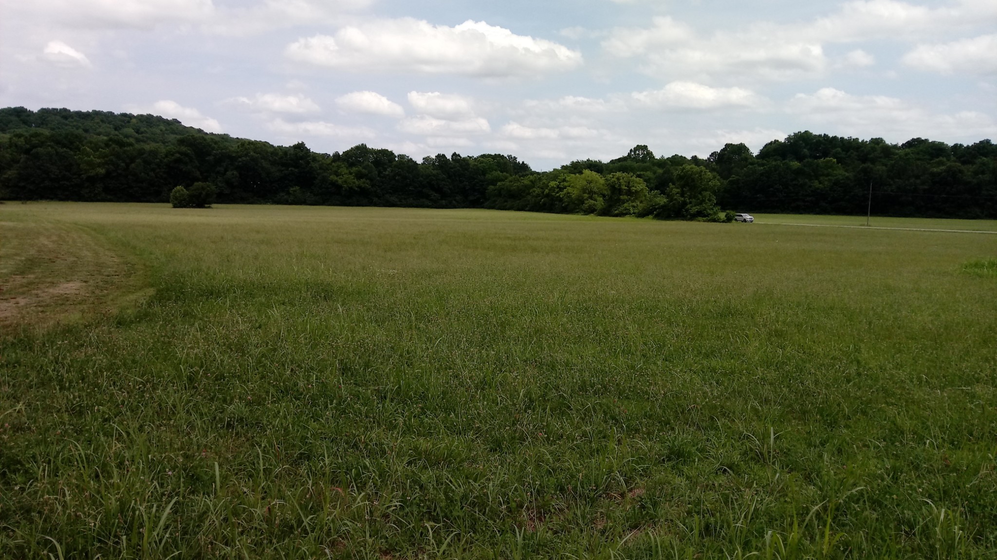 4312 North Chapel Road Franklin, TN 37067 - Photo 4 of 6